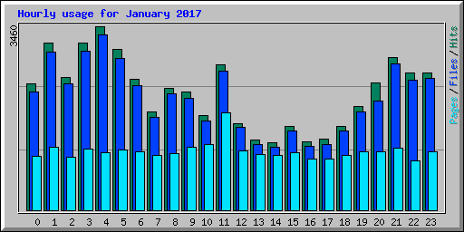 Hourly usage for January 2017